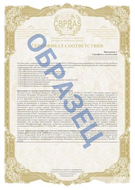 Образец Приложение к СТО 01.064.00220722.2-2020 Старая Чара Сертификат СТО 01.064.00220722.2-2020 